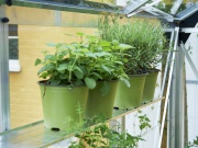 Üvegház Juliana Gartner