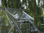 Üvegház Halls Icon 6