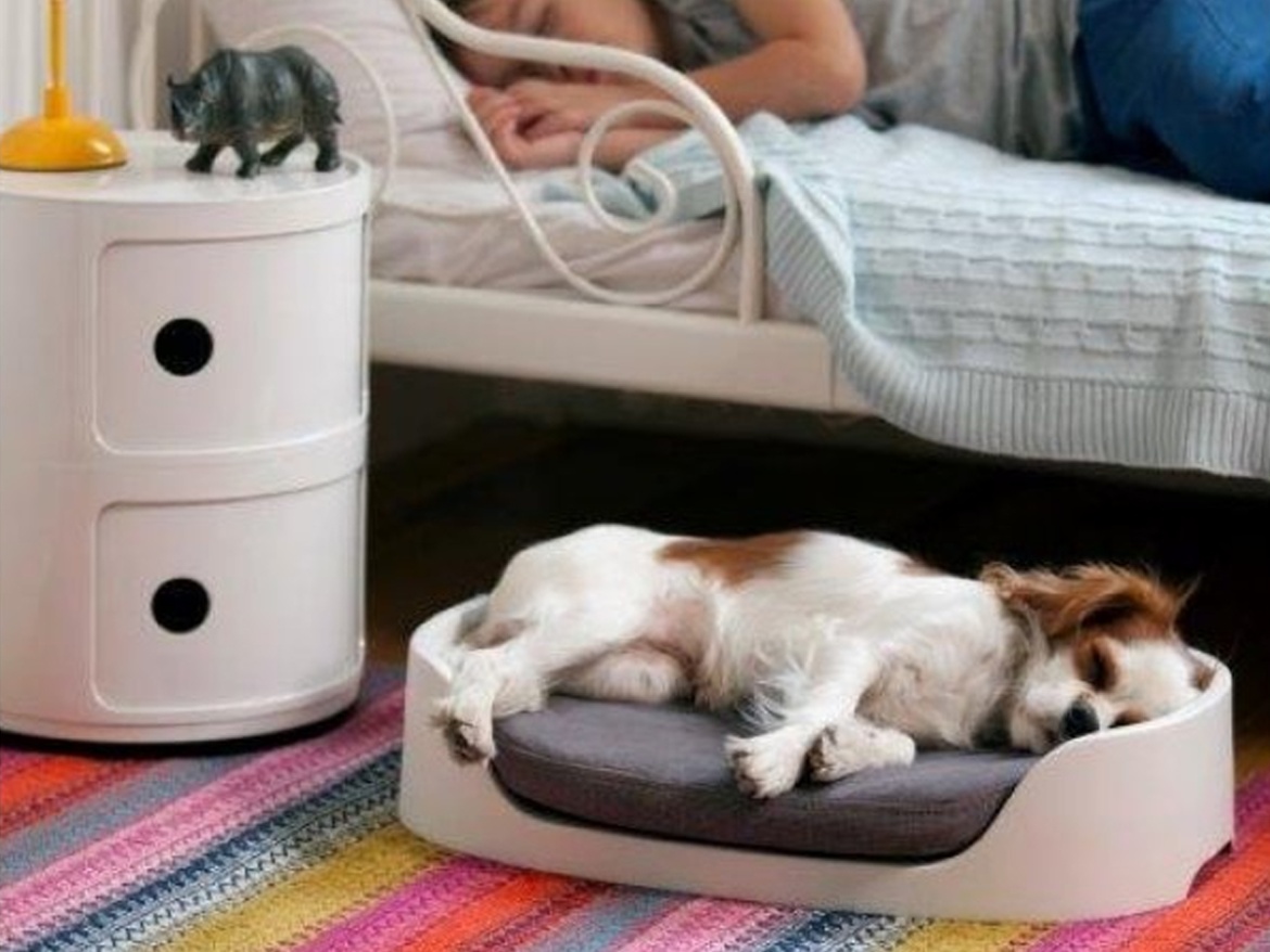 Curver Pelíšek Bunkbed