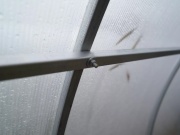 Skleník z polykarbonátu Scobax Vitamin