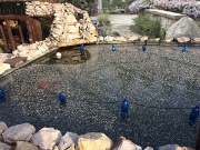 Kompletný sprievodca zazimovaním záhrady