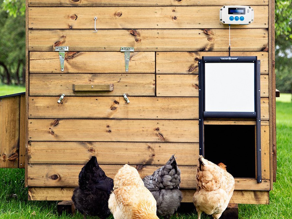 Automatikus nyitó és záró készlet tyúkólhoz ChickenGuard Pro