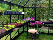 Üvegház Euro-Serre Maxi Special