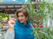 Odborník radí: jak zazimovat oleandry