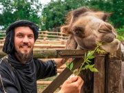 Polykarbonátová vlnitá deska Gutta Guttagliss Wabe