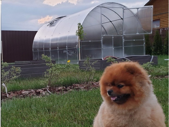 Polikarbonát üvegház Gutta Gardentec Classic T