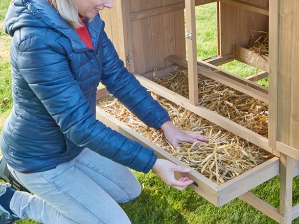 Kurník Scobax Amber