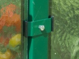 Limes Primus K