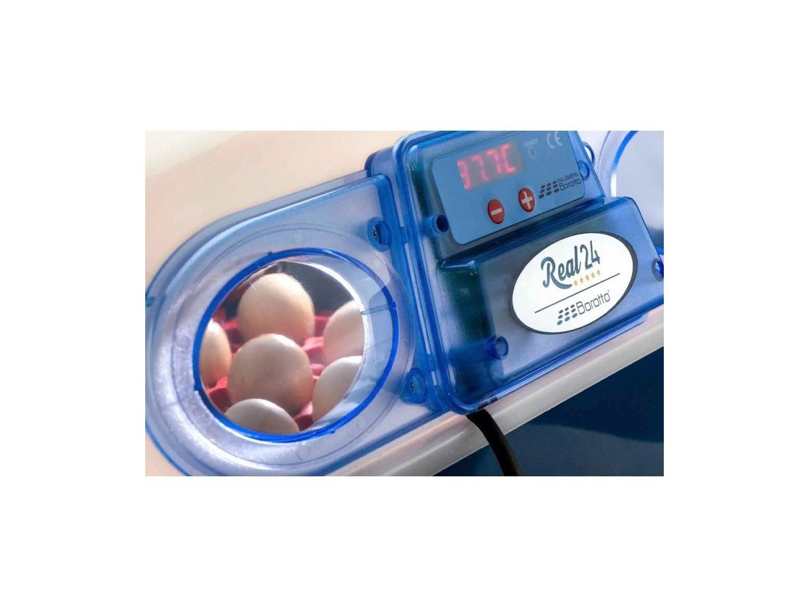 Scobax Líheň na vejce BOROTTO REAL 24