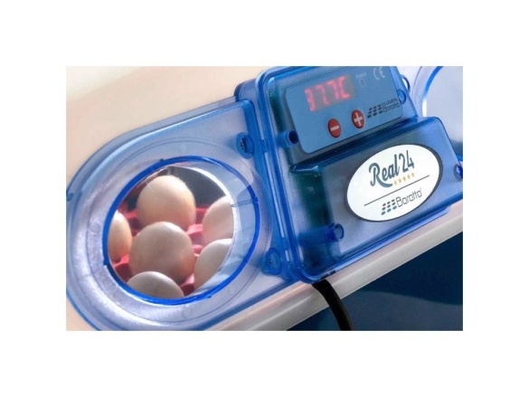 Scobax Líheň na vejce BOROTTO REAL 24