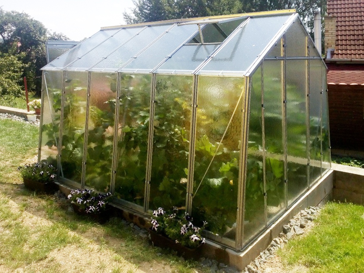 Skleník Limes Hobby