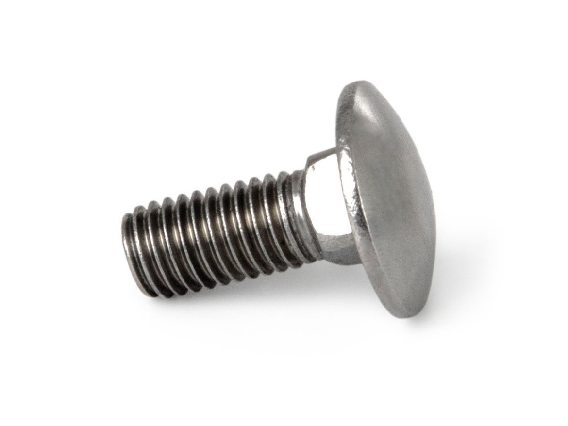 G21 Šroub  vratový M10x25, DIN 603, nerez