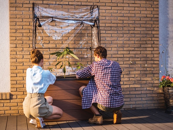 Fóliovník Keter Maple Green House