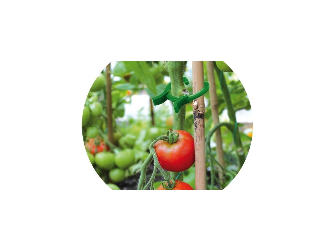 Bradas Spony pro uchycení rostlin - 3 rozměry / 45 ks