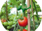 Bradas Spony pro uchycení rostlin - 3 rozměry / 45 ks