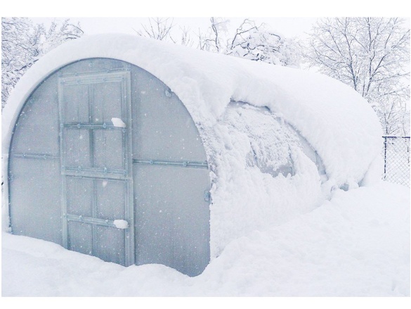 Skleník z polykarbonátu Klasika Baltic LT
