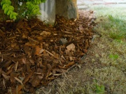 Neviditelný obrubník Scobax Coridor