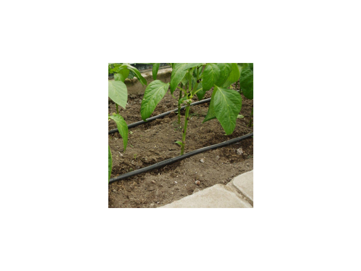 Covernit Kapkové zavlažování pro skleníky Drop