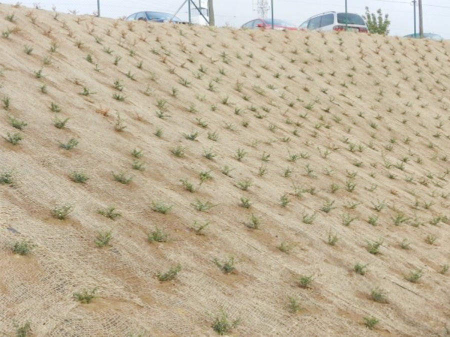 Protierozná sieť Scobax Scobanet