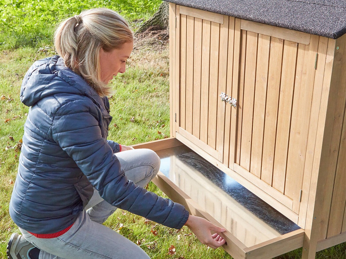 Tyúkól Scobax Amber