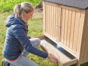 Tyúkól Scobax Amber