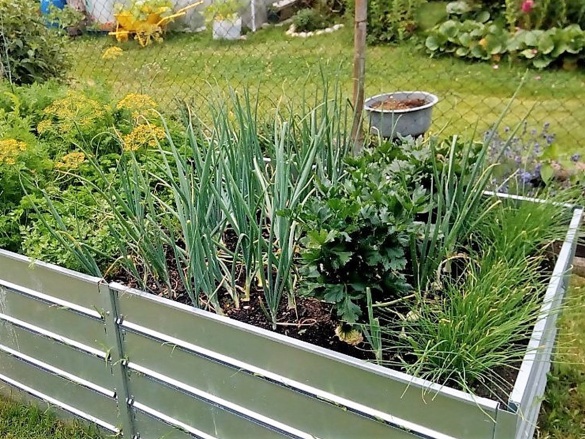 Limes záhon VZ prodloužení