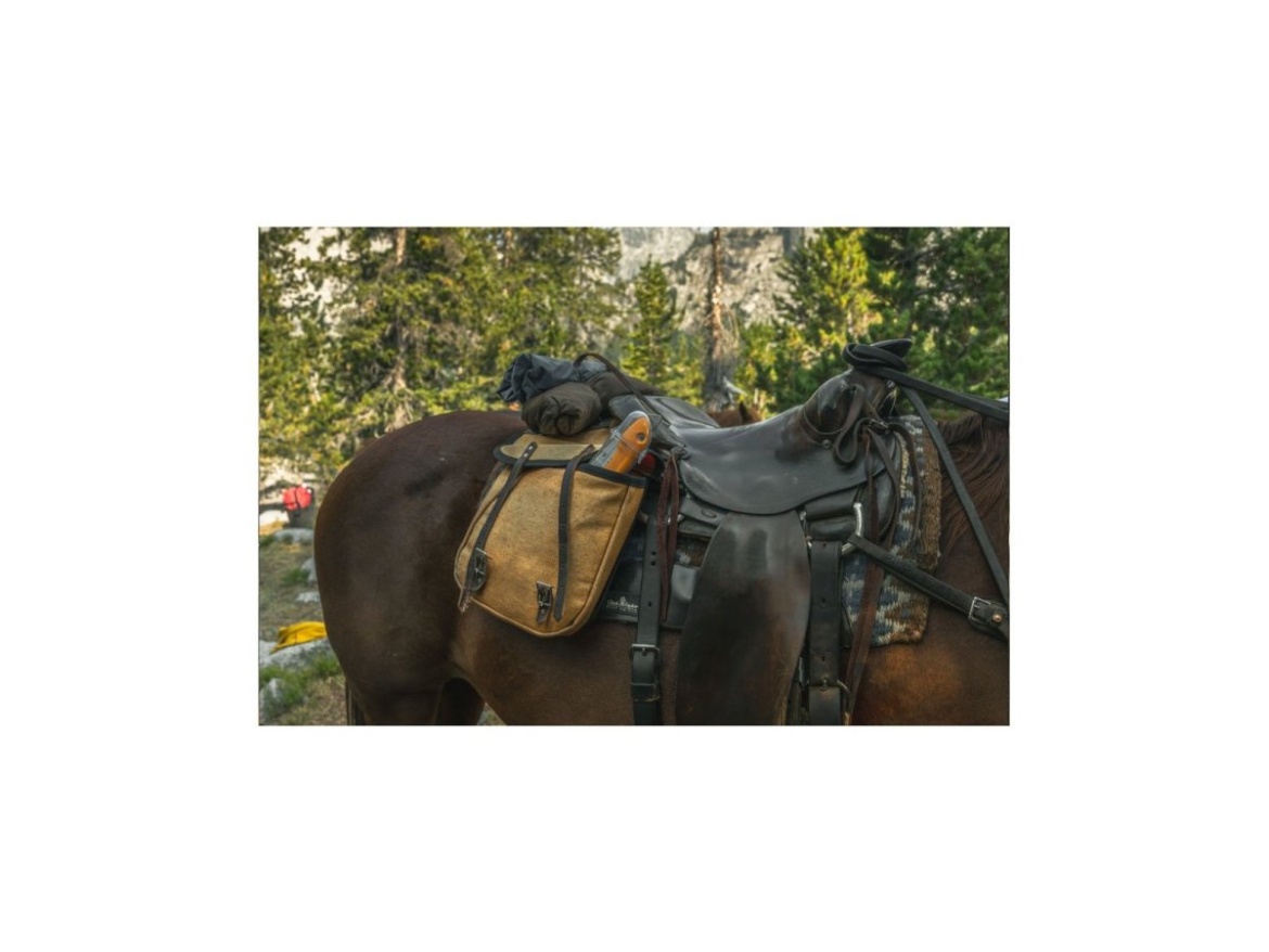 Skládací pila Silky Pocketboy Curve 170-8