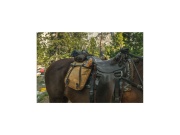 Skládací pila Silky Pocketboy Curve 170-8