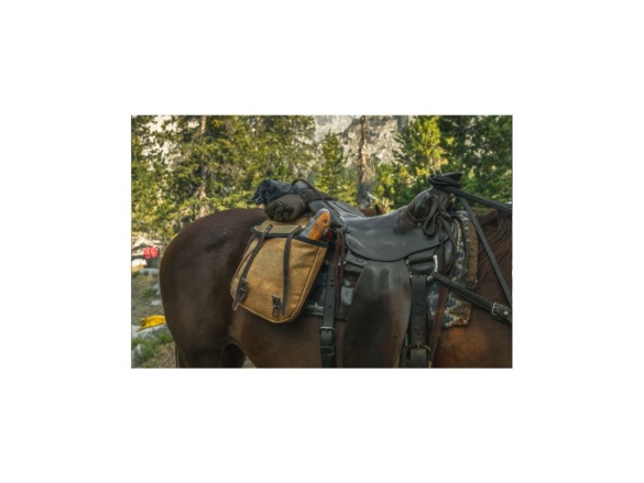 Skládací pila Silky Pocketboy Curve 170-8