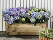 Hrantík Scobax Truhlík Blok