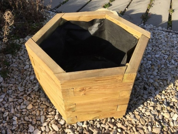 Truhlík Scobax Granada