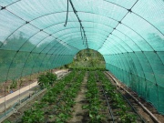 Stínící tkanina 55 % Bradas