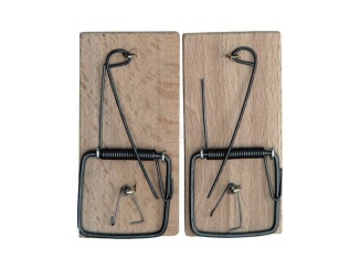 Kertek –  Floraland Past na myši 2ks - GR5100