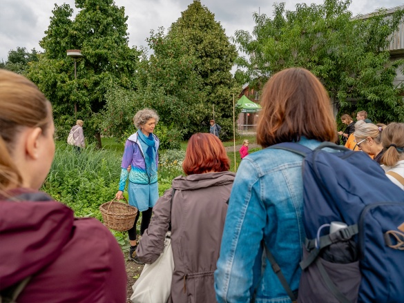 Autonóm üvegházunk egy hortibotanikus napon