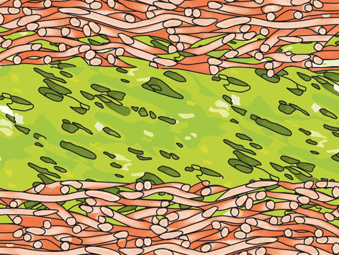 Kontaktní třívrstvá difúzně otevřená fólie Scobax Metaline DO 165 S