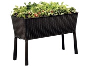 Kvetináč Keter Stolní záhon Easy Grow