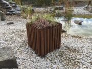 Truhlík Scobax Barcelona