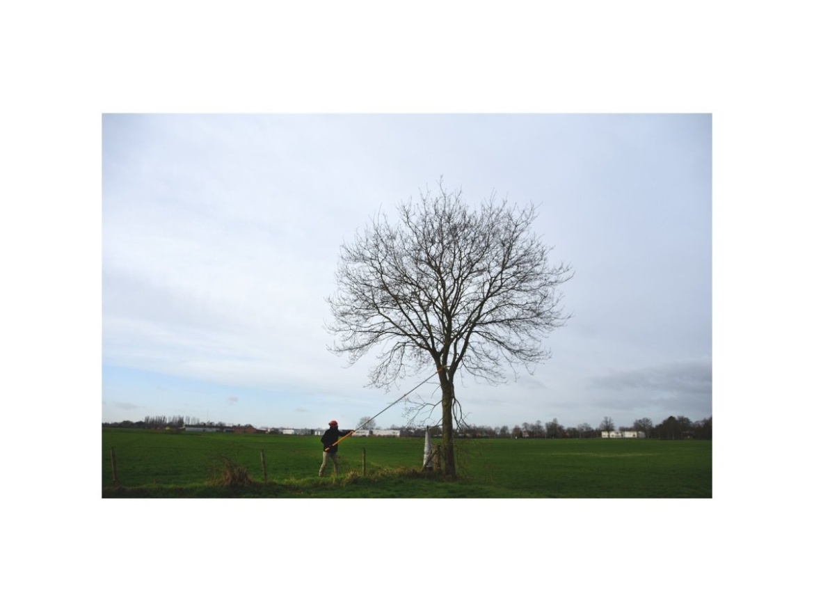 Teleskopická pila Silky Hayate 5000-6.5