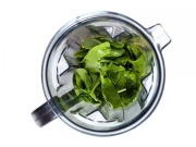 G21 Blender  Excellent red