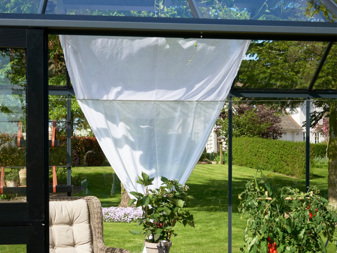 Juliana Sada ocelových lanek