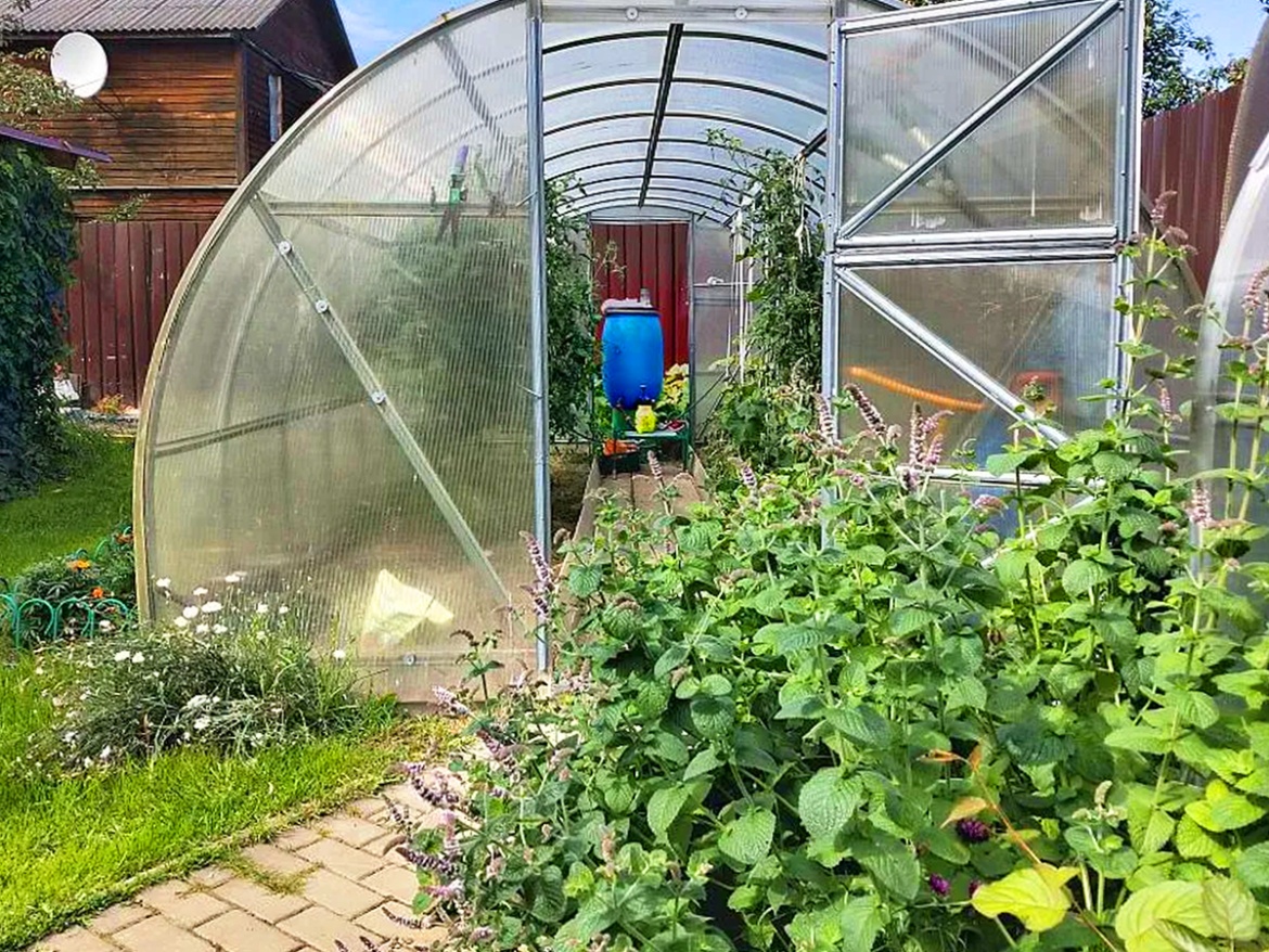 Skleník Scobax Econom