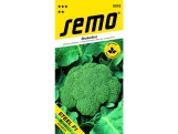 Semo Brokolice - Steel (SV3277BL) F1 (typ Fellow F1) 30s celoroční
