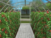 Skleník Lanit Plast Gladus