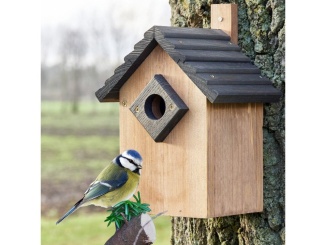 Okrasná zahrada –  Scobax Ptačí budka Braun Grau 332