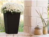 Keter Květináč Rattan Planter M - hnědý