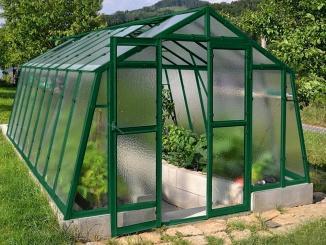 Limes – Limes Primus L