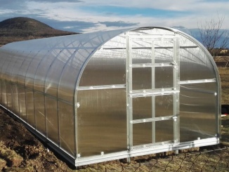 Na podezdívku – Classic polykarbonát (6 mm) 8 x 3 m 200000218