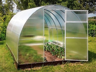 Na podezdívku – Vitamin 6 x 3 m polykarbonát 4 mm BDX00201