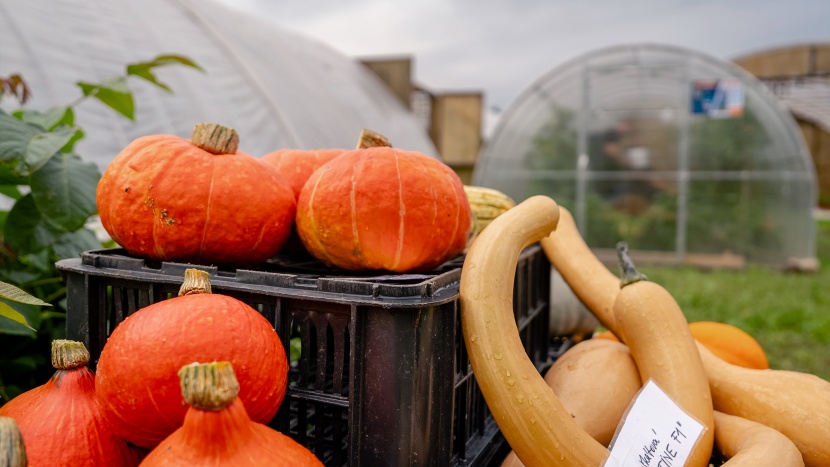 Náš autonomní skleník na hortibotickém dni
