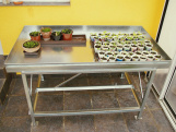 Pestovateľský stôl Limes PSW